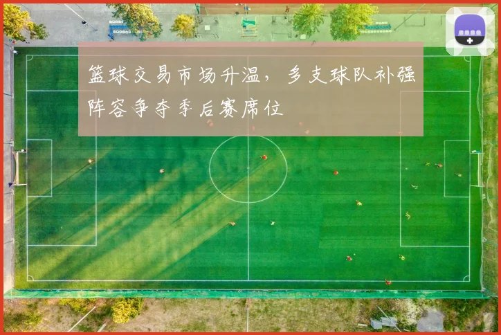 篮球交易市场升温,多支球队补强阵容争夺季后赛席位