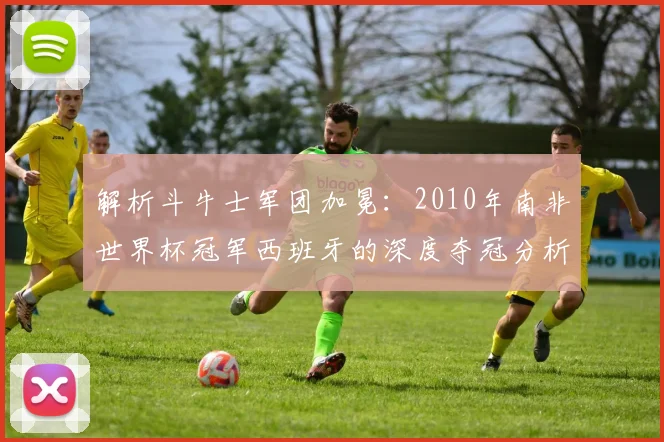 解析斗牛士军团加冕:2010年南非世界杯冠军西班牙的深度夺冠分析
