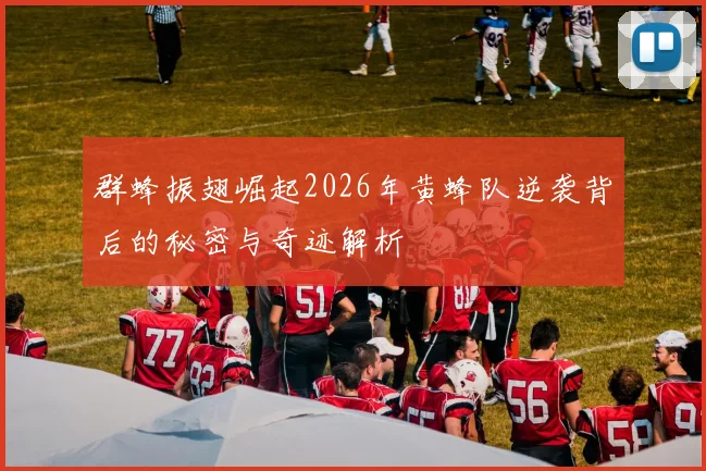 群蜂振翅崛起2026年黄蜂队逆袭背后的秘密与奇迹解析