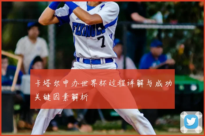 卡塔尔申办世界杯过程详解与成功关键因素解析