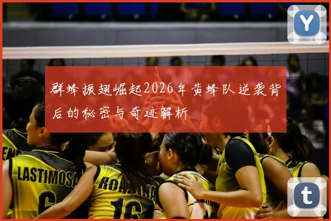群蜂振翅崛起2026年黄蜂队逆袭背后的秘密与奇迹解析