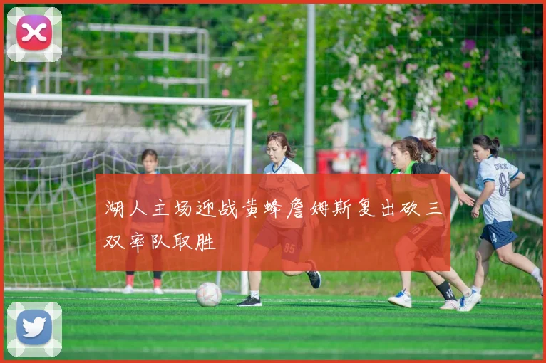湖人主场迎战黄蜂詹姆斯复出砍三双率队取胜