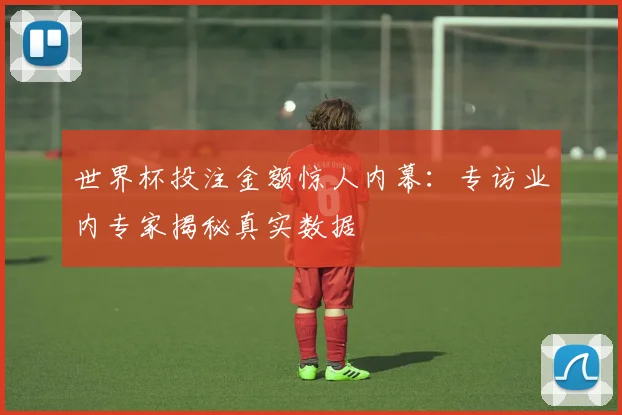 世界杯投注金额惊人内幕:专访业内专家揭秘真实数据